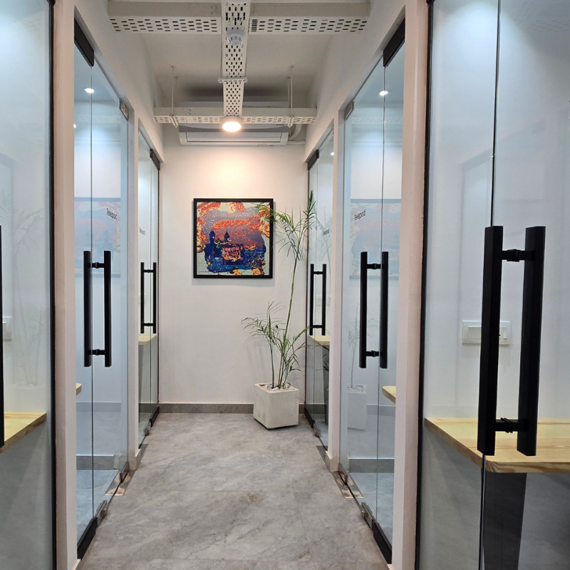 Corridor of glass-door offices with black handles, a potted plant and framed artwork at the end